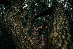 BIB: 
                            <button type="button" onclick="openModal(25692264)" class="btn btn-primary btn-sm float-right btn-popup" data-toggle="modal" data-target=".modal-high-quality">
                        <i class="fas fa-shopping-cart"></i> Add to Cart
                    </button>
                                            <button type="button" onclick="isThisMe(25692264, true)" class="btn btn-success btn-sm float-right btn-popup btn-isme hidden" data-toggle="tooltip" data-placement="bottom" title="นี่คือรูปของคุณใช่ไหม คลิกที่นี่เพื่อเอาเข้าอัลบั้ม">
                        <i class="fas fa-plus"></i> Add to album
                    </button>
                    <button type="button" onclick="isThisMe(25692264, false)" class="btn btn-warning btn-sm float-right btn-popup btn-isnotme hidden">
                        <i class="fas fa-ban"></i> Remove from album
                    </button>